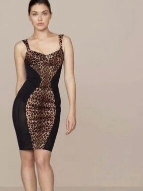 Agent provocateur dress